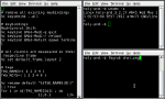 3 terminals in herbstluftwm